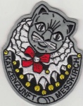 ASP322 Embroidery Patch