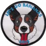 ASP176 Embroidery Patch