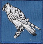 ASP275 Embroidery Patch